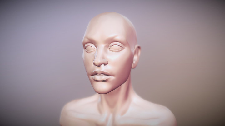 Female Head Basemesh 3D Model