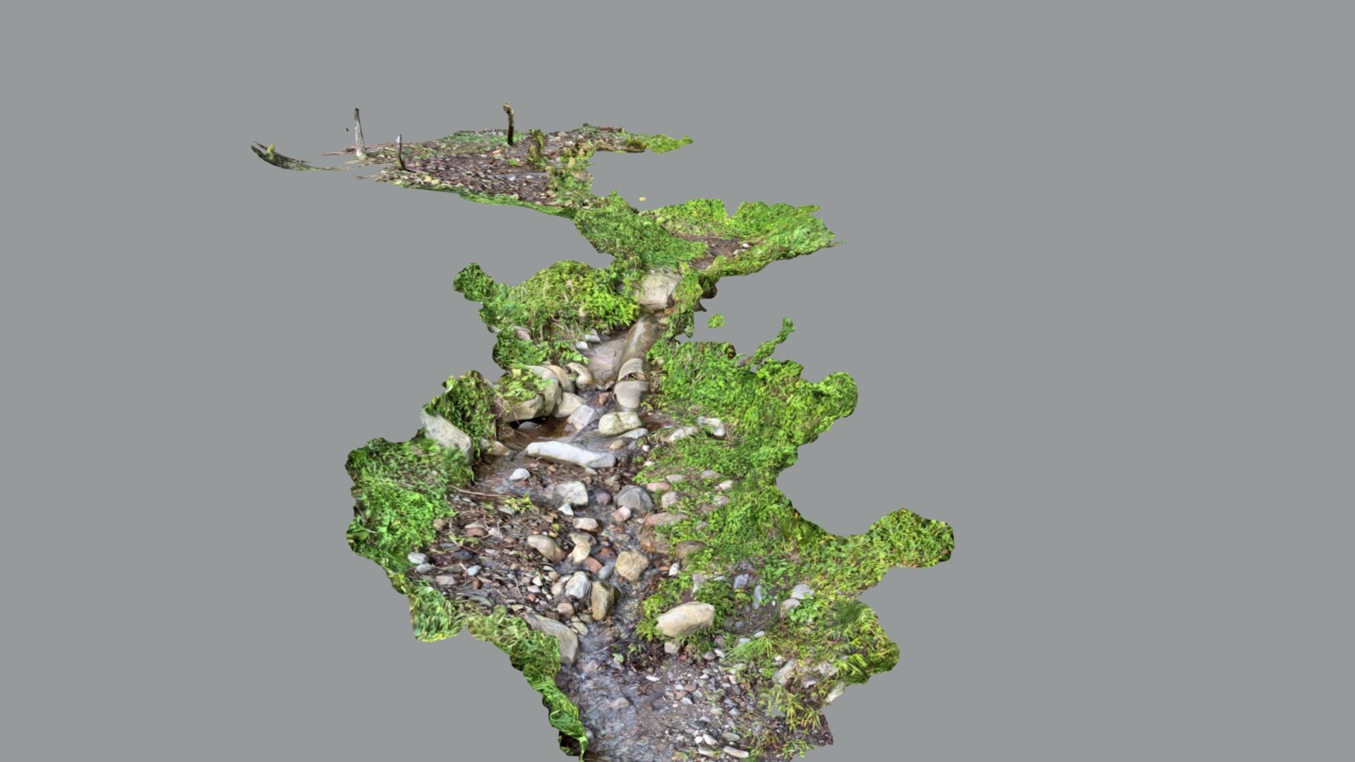 赤城白川_支流
