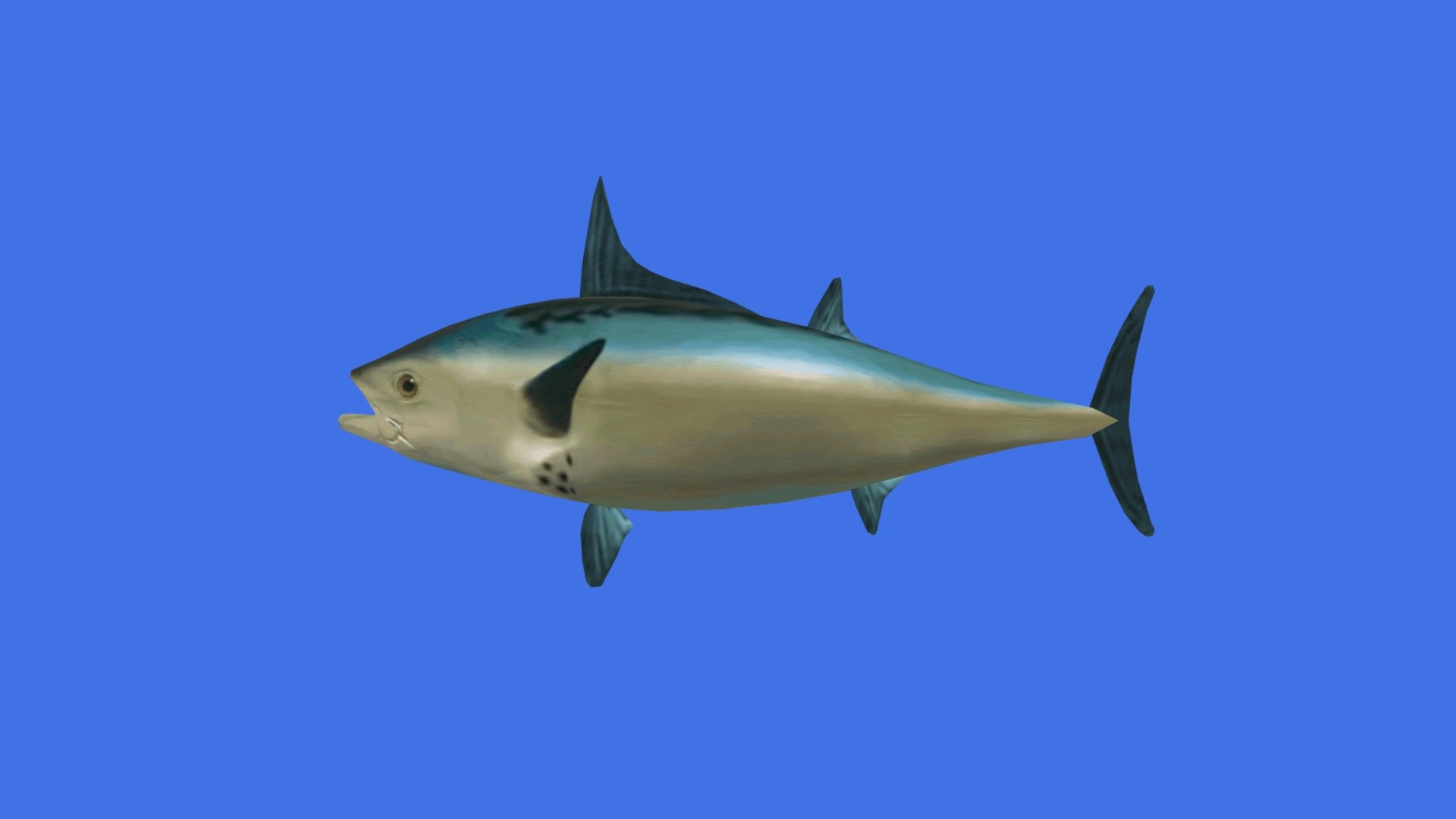 This looks fish - Download Free 3D model by adammitchell614 [926c9e5 ...