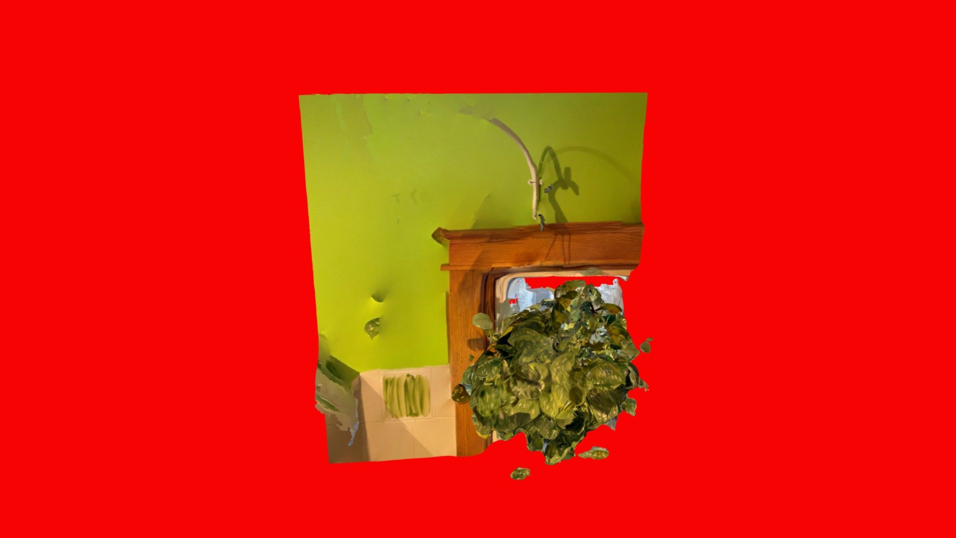 Day 2: Hanging Plant