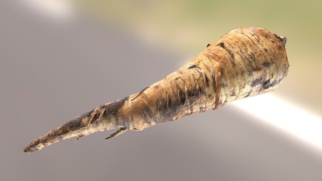 Parsnip