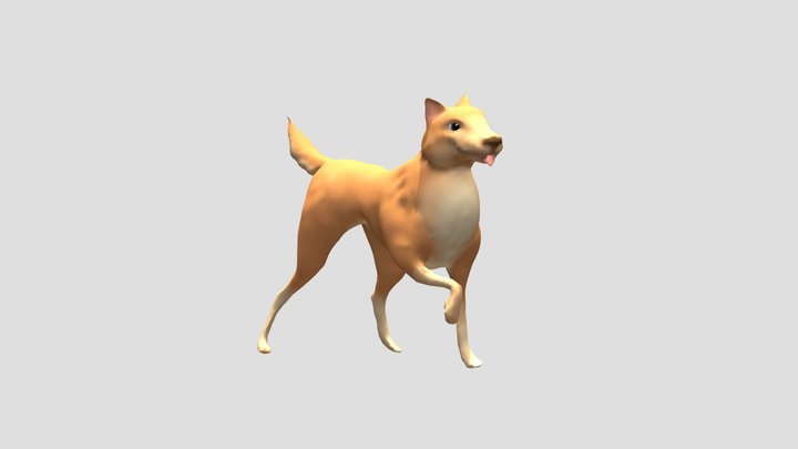 [Zbursh] Dog practice 3D Model