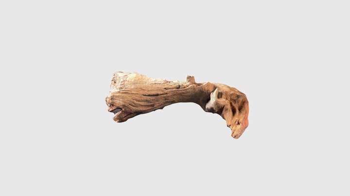 Branch 008 3D Model