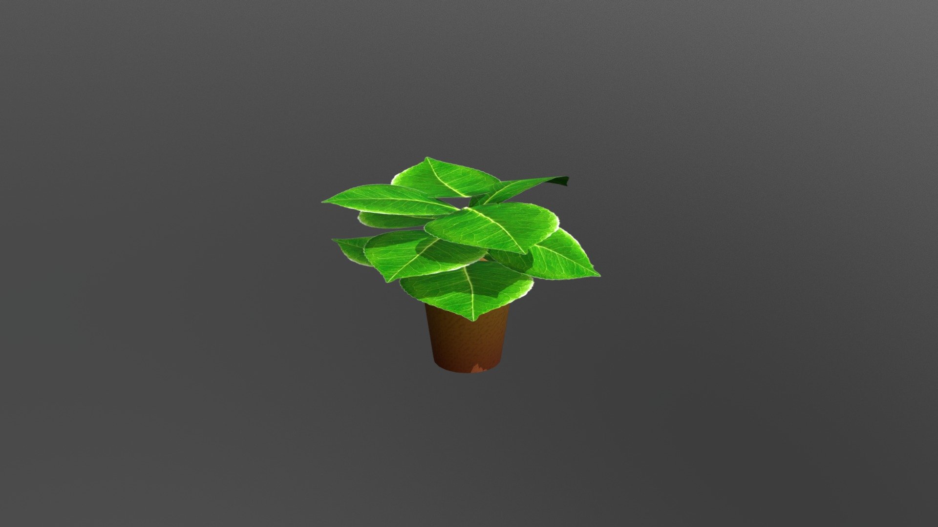 LEAF - 3D model by stachebrown [9279809] - Sketchfab