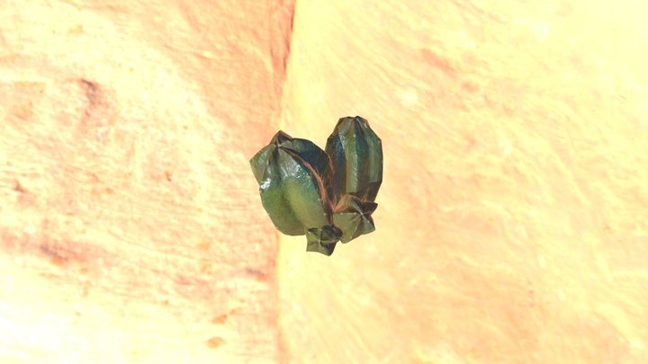 CACTUS3 /GART230 3D Model