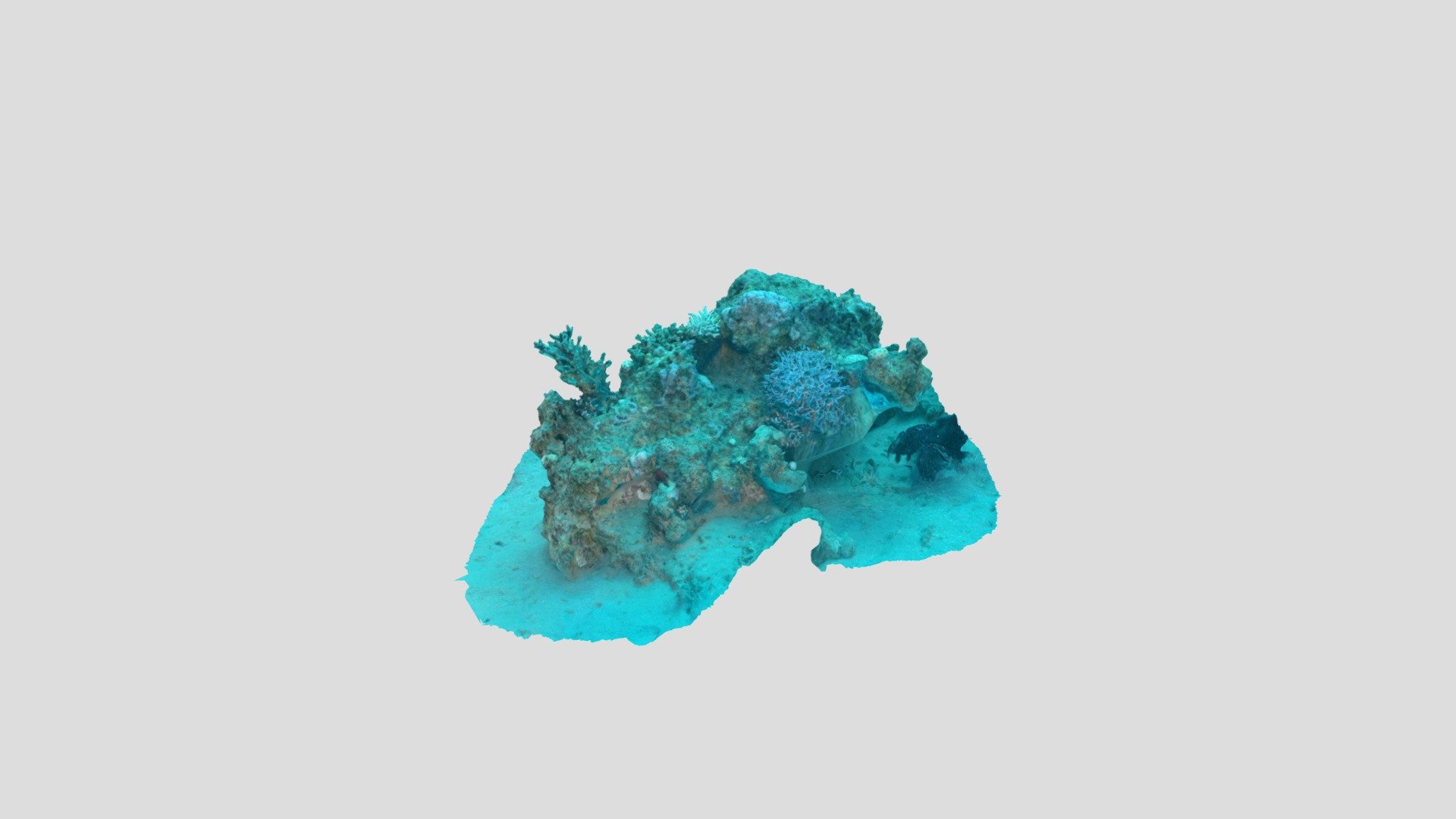 Corals2 15m Depth, EilatKssky - 3D model by VISEAON - Treibitz Marine ...