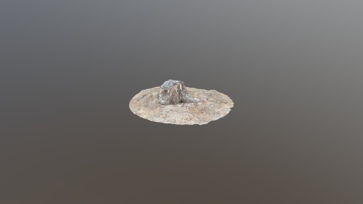 3D Scanned Stump 3D Model