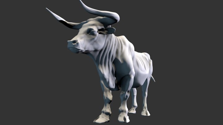 Bull _pose 3D Model