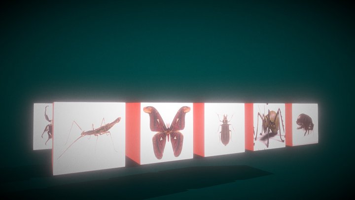 My Biggest Bugs 3D Model