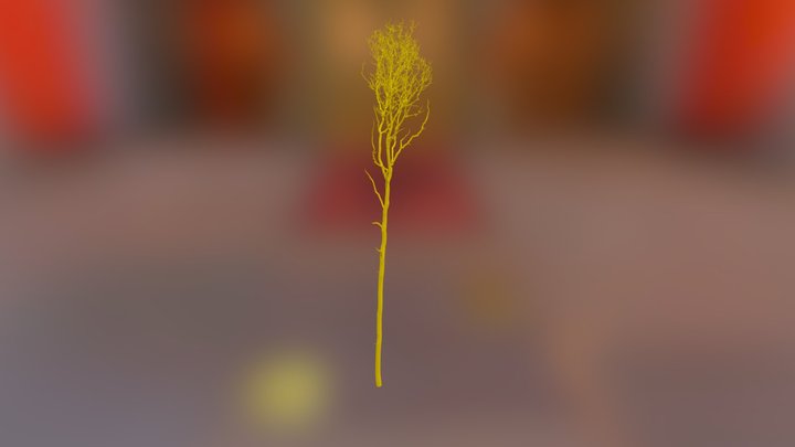 Straits / Oak 6 3D Model