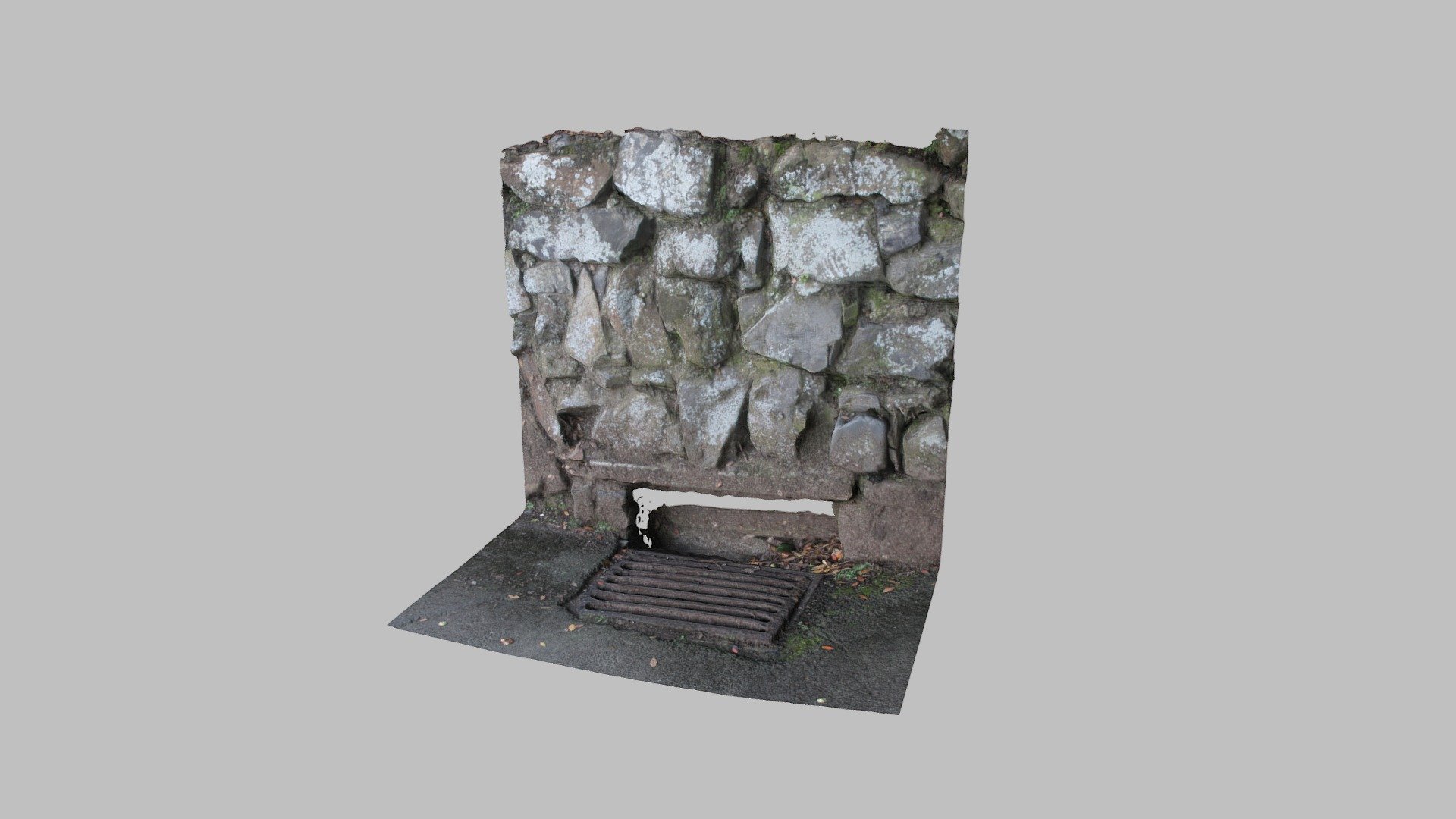 Park Drain Grate