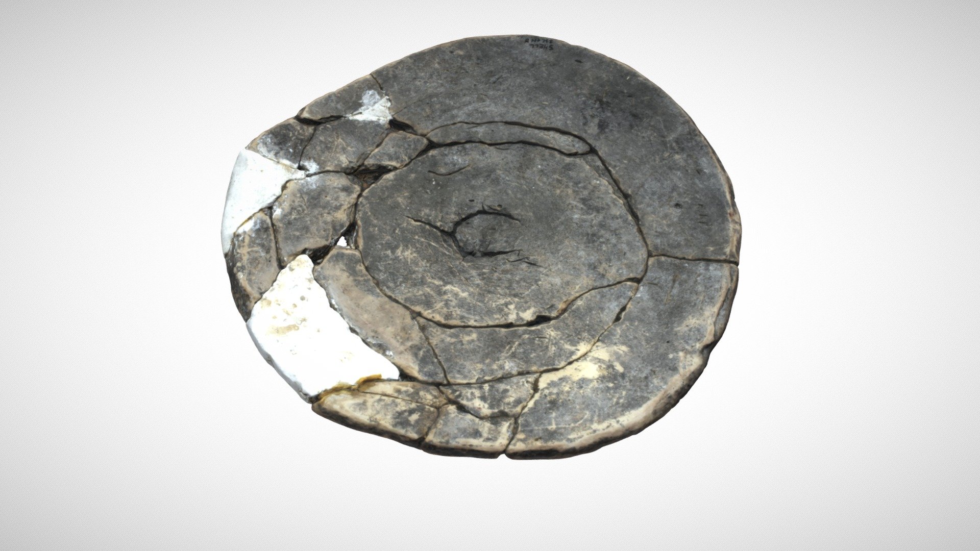 St. John's Pottery Base, Orange County, Florida Download Free 3D