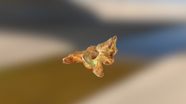 Axis 21 3D Model