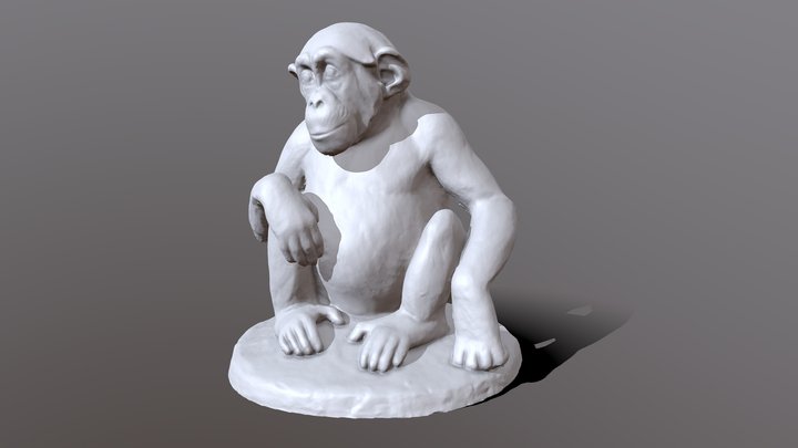 Шимпанзе молодой, сидя |  Young chimp sitting
