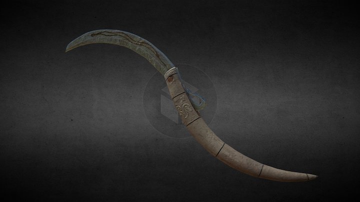 Fang 3D Model