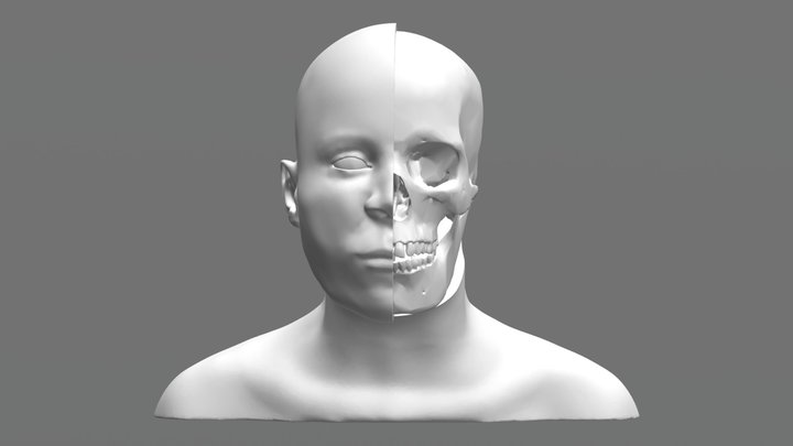 Facial Approximation of BC-133: Skin Vs. Skull 3D Model