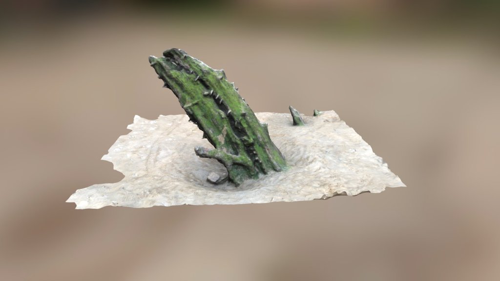 Wreck of the Helvetia
