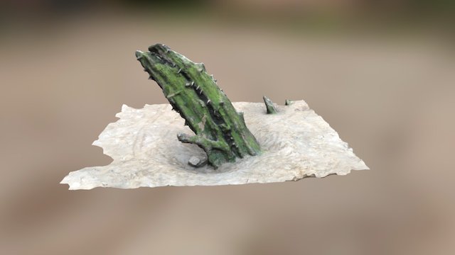 Wreck of the Helvetia 3D Model