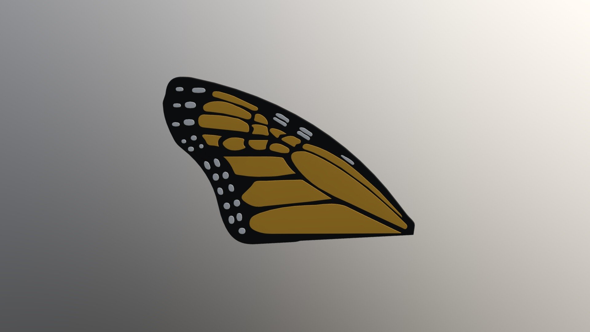 Butterfly wing upper left