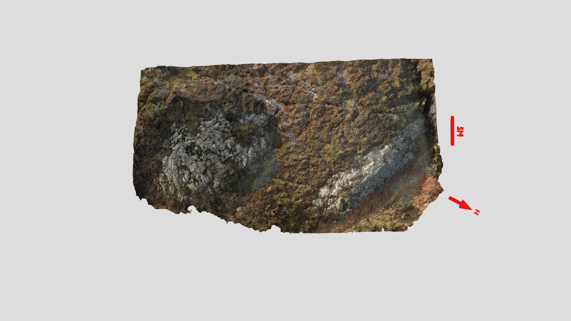Strumble Head Pillow Lava 1 (Pembrokeshire) 3D model by Department of