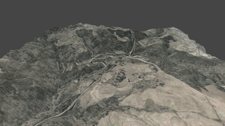 Ruff 3D Model