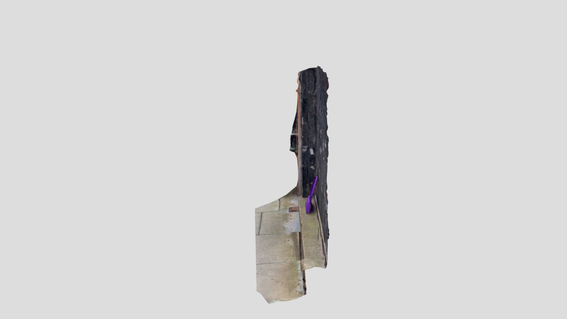 Polycam capture