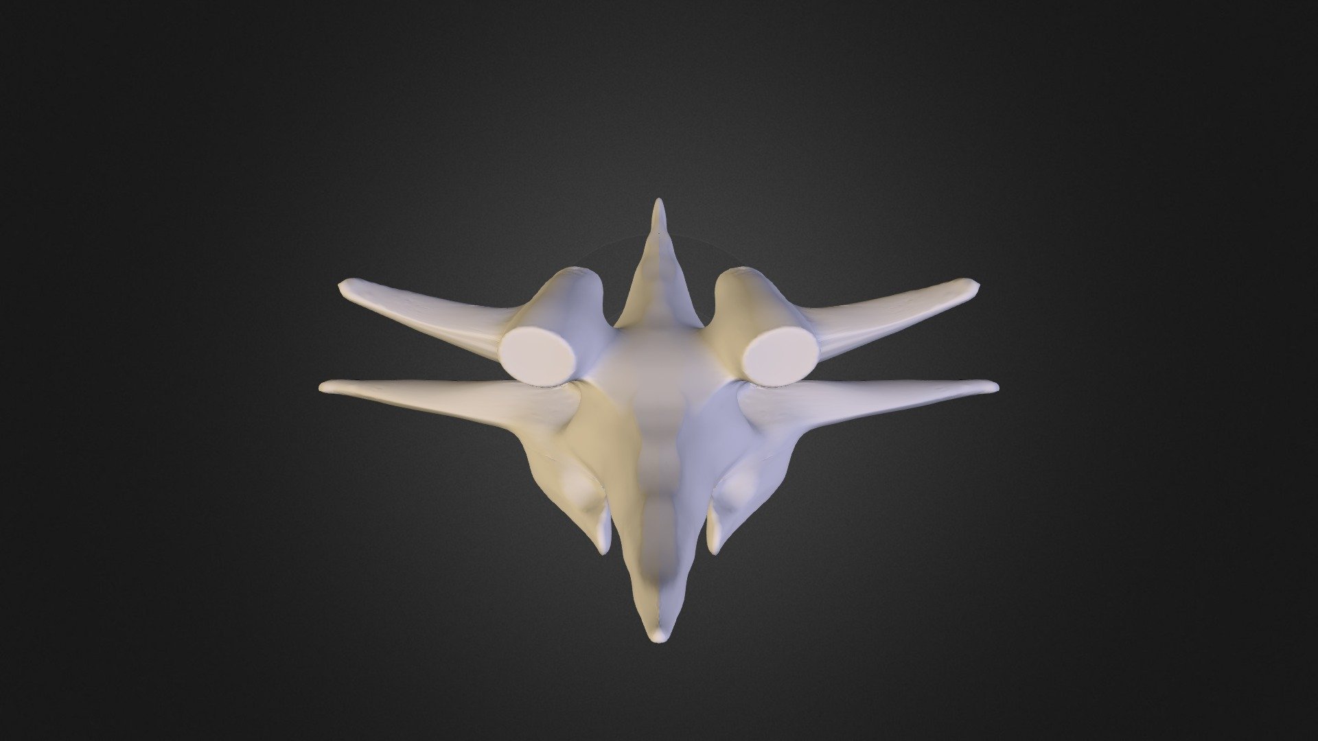 Spaceship 8