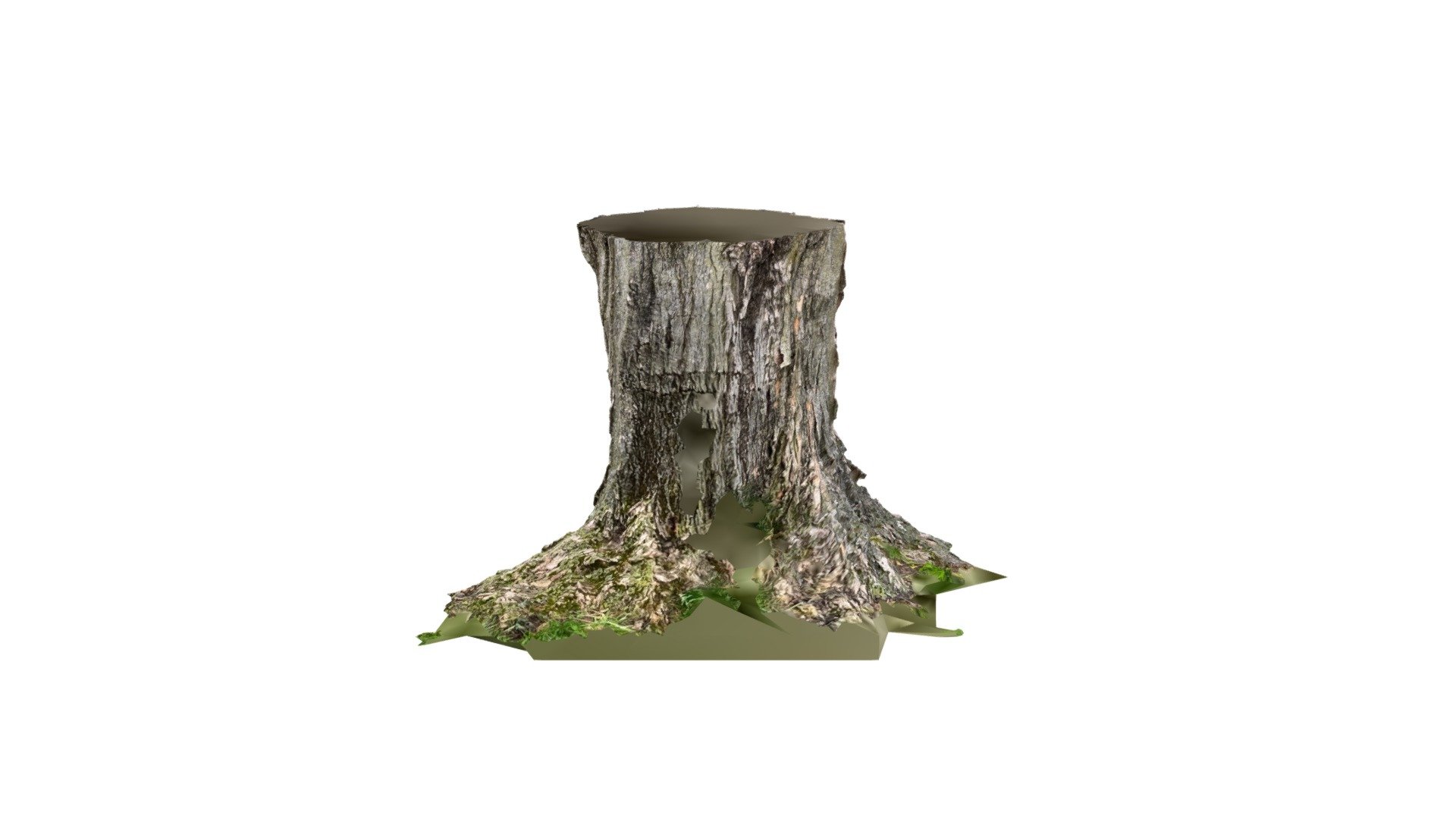 tree (part of)