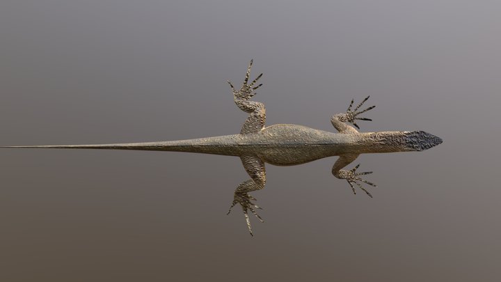 Lizard 2 – Kostenloses 3D-Modell STL