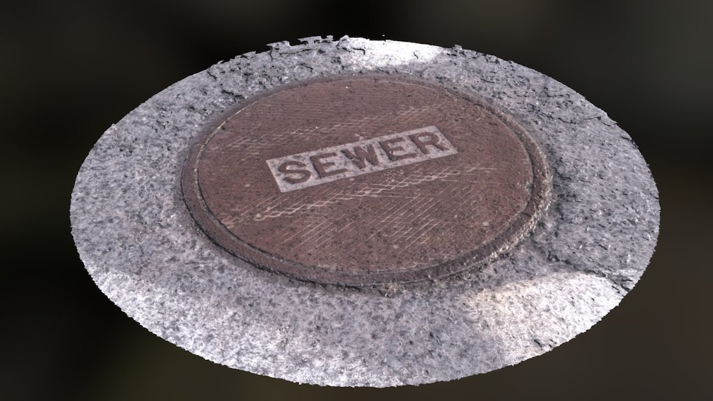 Sewerhole
