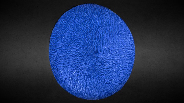 "EAH" The Blue Moon 3D Model