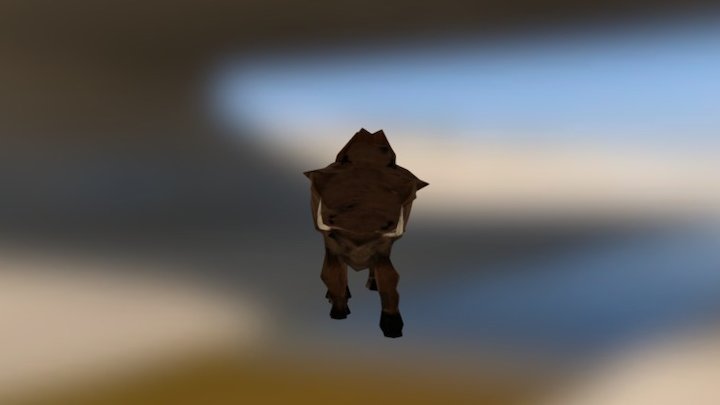 Wild Boar