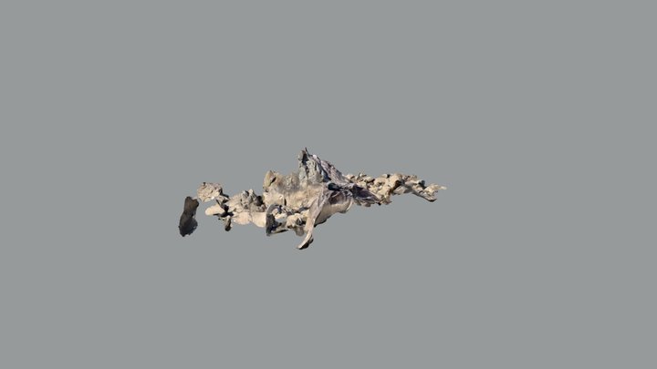 River scour 3D Model