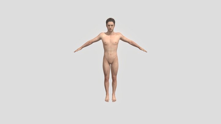 himan 3D Model