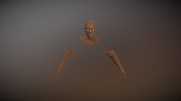 likeness final low poly 3D Model