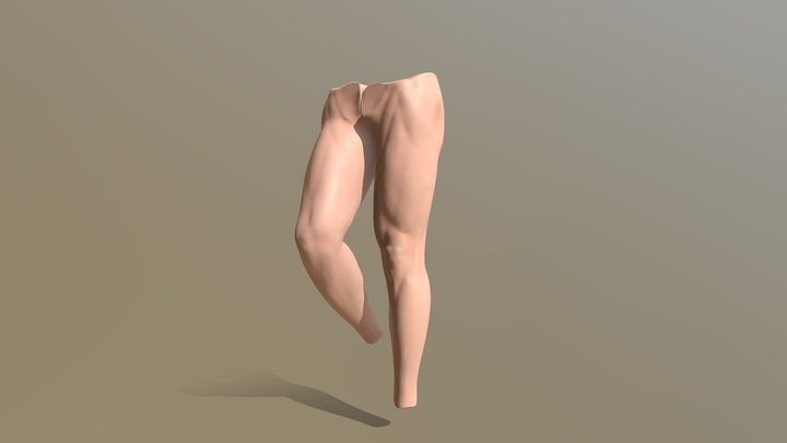 Legs 3D Model