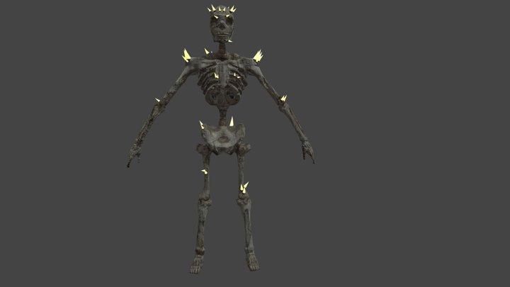 Skeleman 3D Model