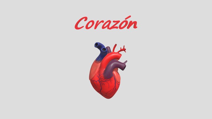 Corazón 3D Model