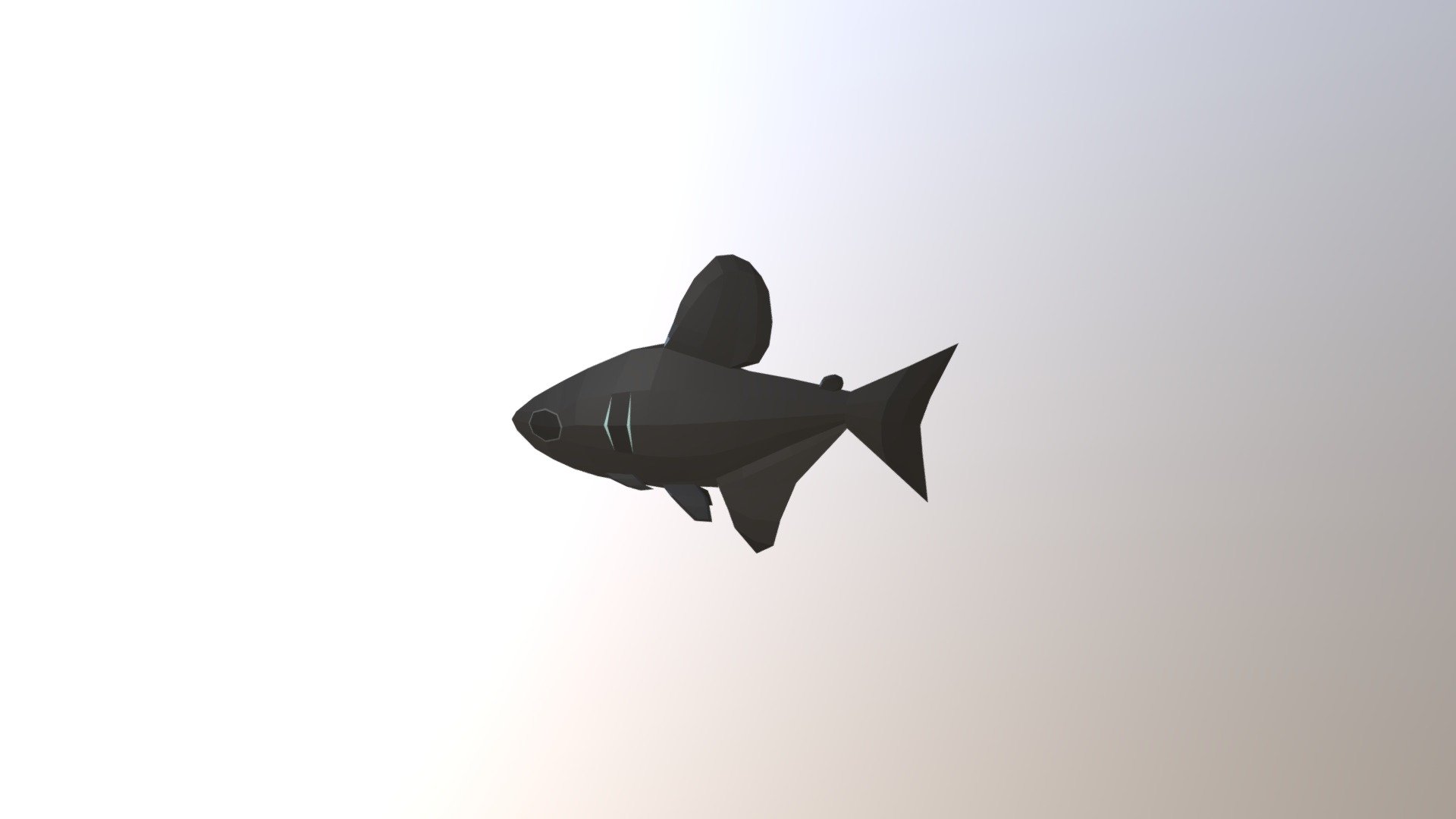 Hyphessobrycon megalopterus