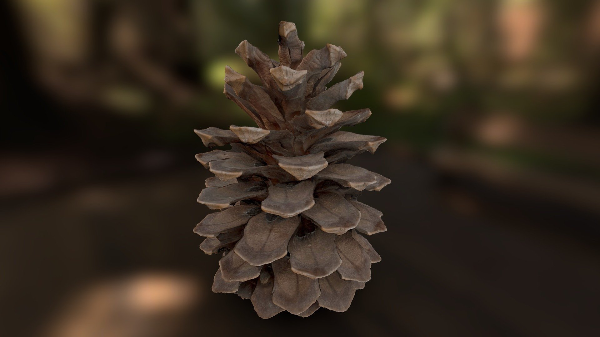 Pinecone