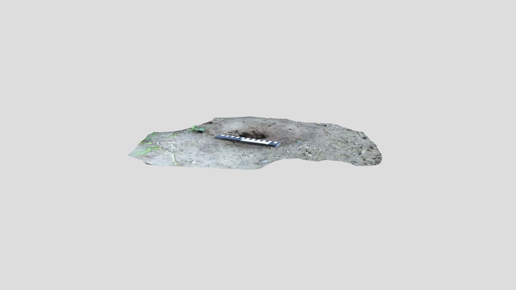 Collapsed mole tunnel/hill