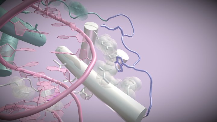 A DUX4 Dream 3D Model