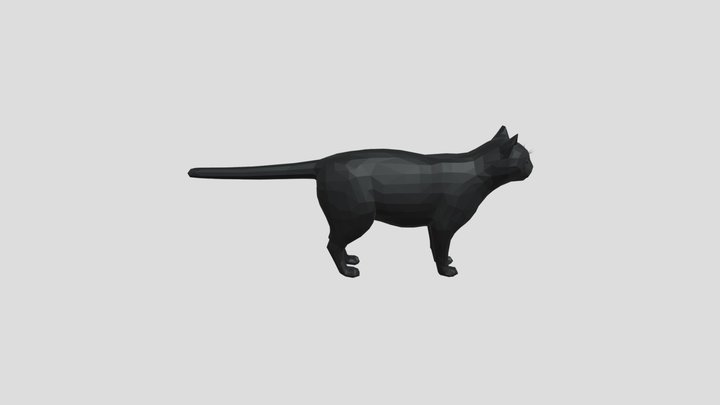 LOW POLY CAT 3D Model