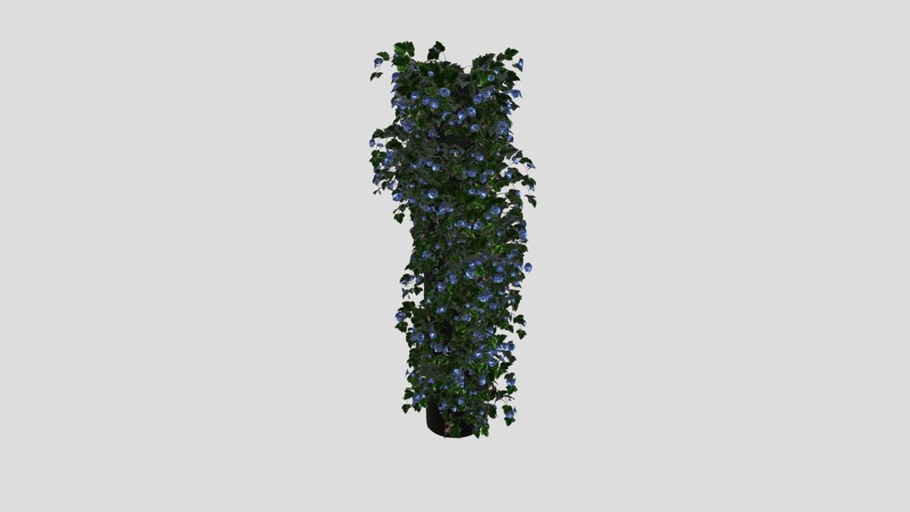 Flower Ivy Column Plant