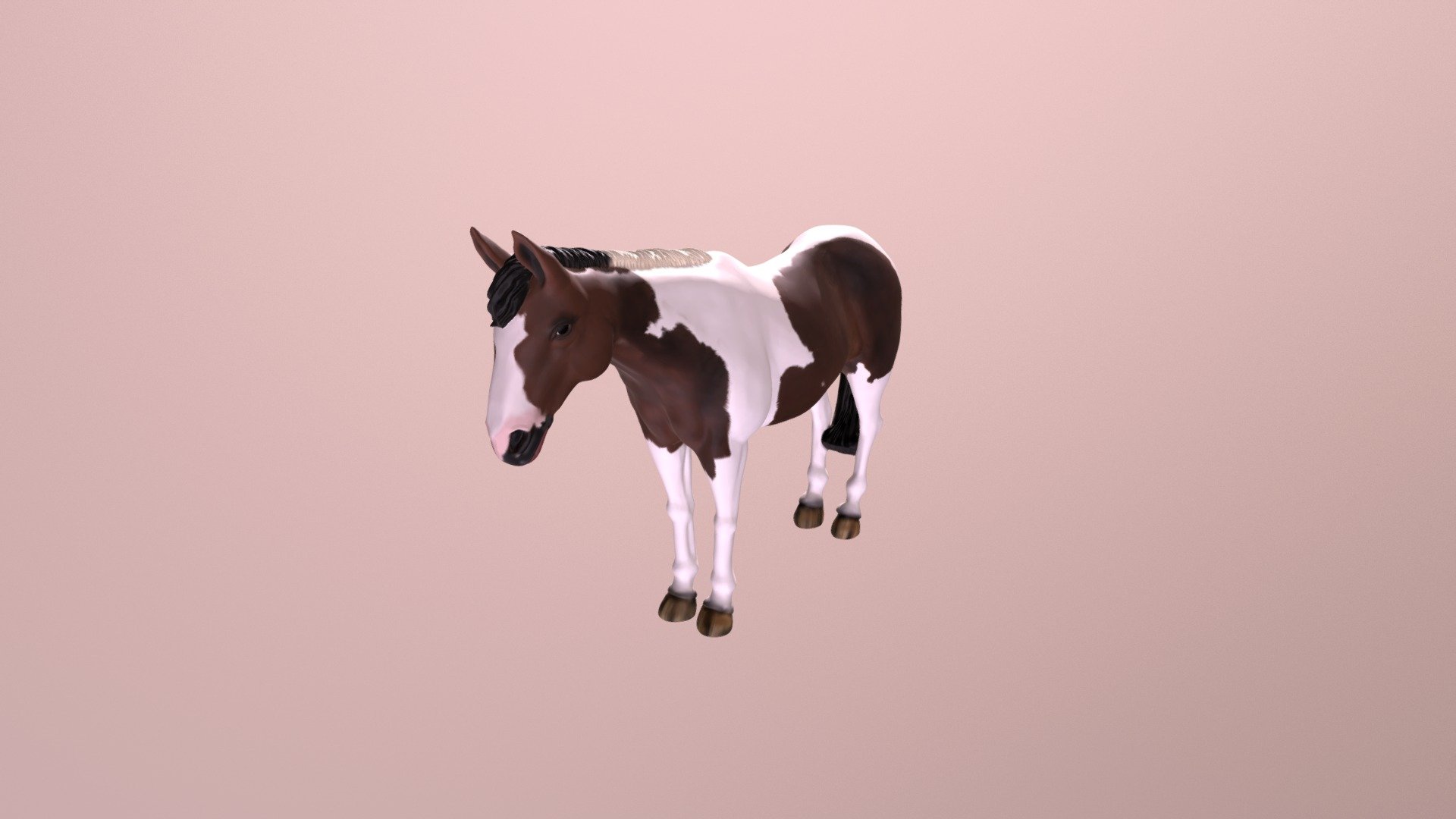 1801008 - Buffy, the Piebald Horse