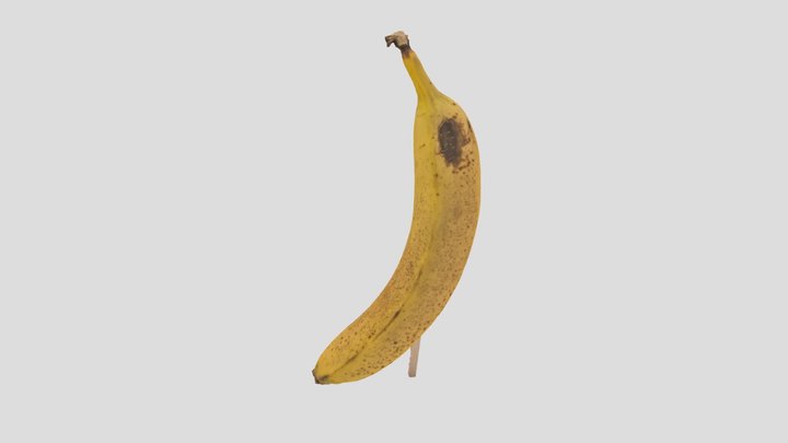 Banane_OPTI 3D Model