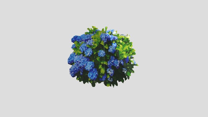 Hortência V2 Bush PSX 3D Model