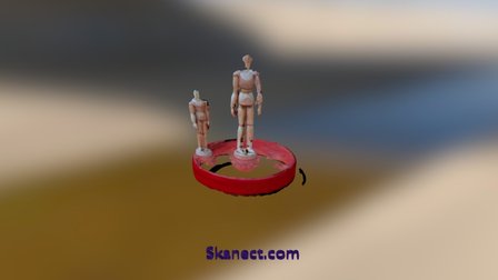New Skanect Model 3D Model
