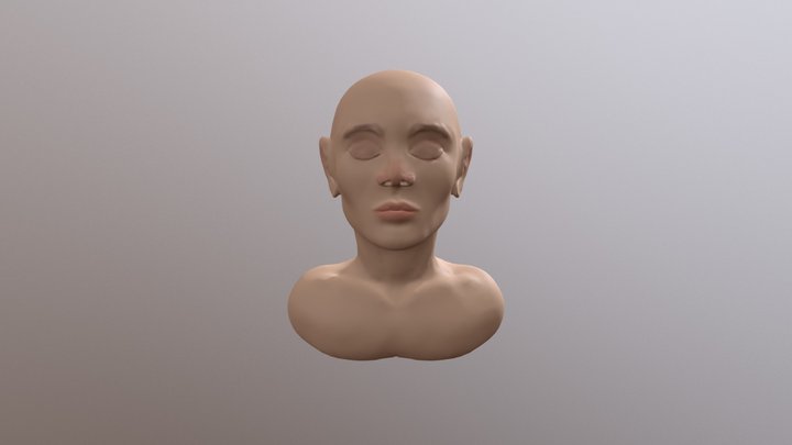 Face 2 3D Model