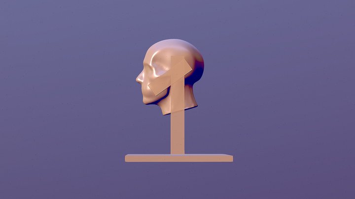 head armatures (wood) 3D Model